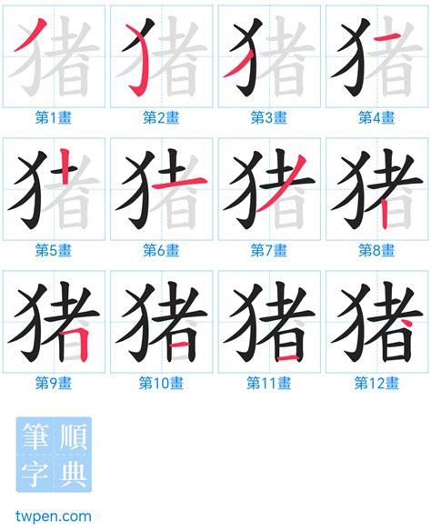 豬字|猪的筆順 國字「猪」筆畫